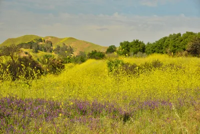 DSC_6465 (Large).JPG